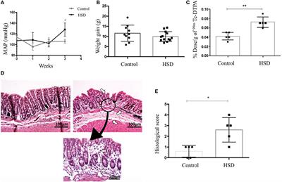 High-Salt Diet Induces IL-17-Dependent Gut Inflammation and Exacerbates Colitis in Mice